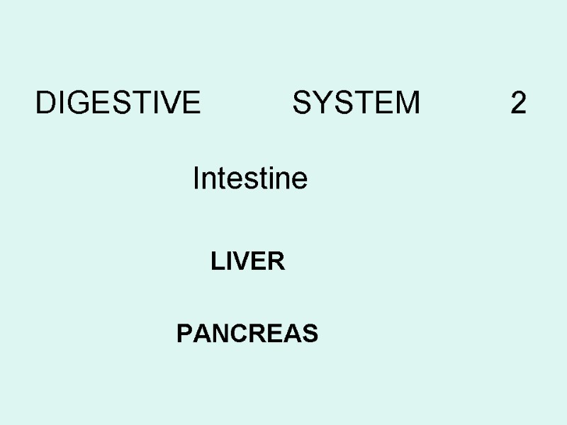 DIGESTIVE SYSTEM 2         Intestine  LIVER